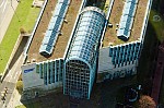 ant_1152.jpg