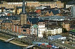 ant_1181.jpg