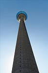 ant_1200.jpg