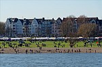 ant_1229.jpg