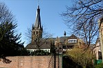 ant_1246.jpg