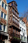 ant_1250.jpg