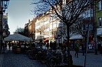 ant_1307.jpg
