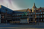 ant_1309.jpg