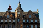 ant_1310.jpg