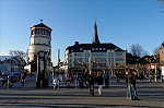 ant_1312.jpg