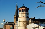 ant_1320.jpg