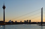 ant_1339.jpg