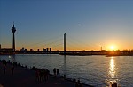 ant_1342.jpg