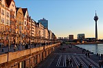 ant_1350.jpg