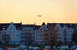 ant_1351.jpg