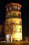 ant_1676.jpg
