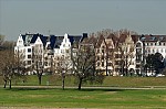 ant_1693.jpg