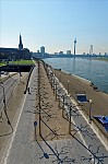 ant_1697.jpg