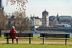 ant_1716.jpg