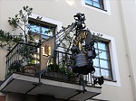 p1100850.jpg