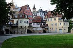 ant_2214.jpg
