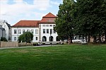 ant_2218.jpg