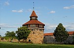 ant_2275.jpg
