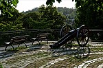 ant_2292.jpg