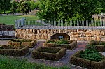 ant_2298.jpg
