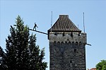 ant_9159.jpg