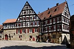 ant_9259.jpg