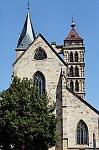 ant_9260.jpg