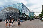 ant_3618.jpg