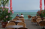 ant_3641.jpg