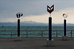 ant_3646.jpg