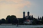 ant_3647.jpg