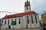 ant_3658.jpg