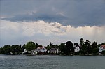 ant_3672.jpg