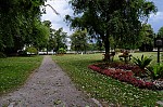 ant_3678.jpg