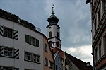 ant_3679.jpg