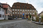 ant_3681.jpg
