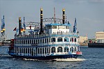 ant_5433.jpg