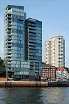 ant_5441.jpg