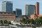 ant_5460.jpg