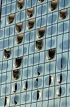 ant_5497.jpg