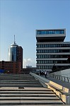 ant_5501.jpg