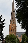 ant_5522.jpg