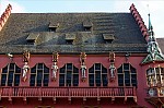 ant_3001.jpg