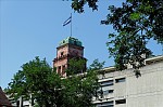 ant_3074.jpg