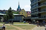 ant_3076.jpg