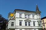 ant_3082.jpg