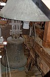 ant_3097.jpg