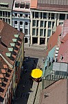 ant_3103.jpg