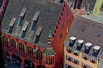 ant_3116.jpg